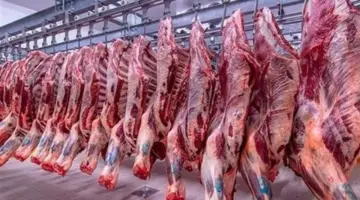 أسعار اللحوم في الأسواق المصرية، الأحد 19 أبريل 2026